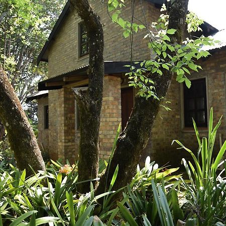 Molly'S Cottage Graskop Dış mekan fotoğraf