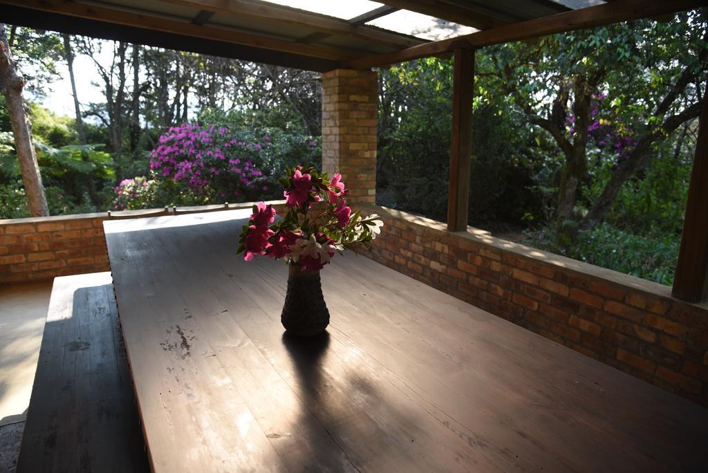 Molly'S Cottage Graskop Dış mekan fotoğraf