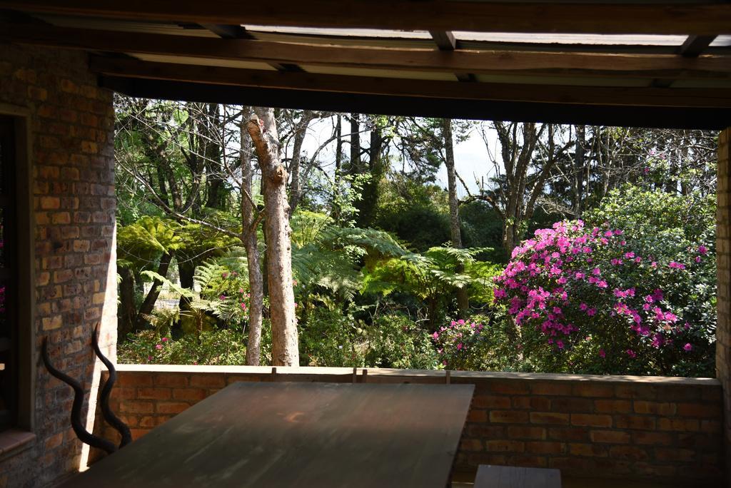 Molly'S Cottage Graskop Dış mekan fotoğraf