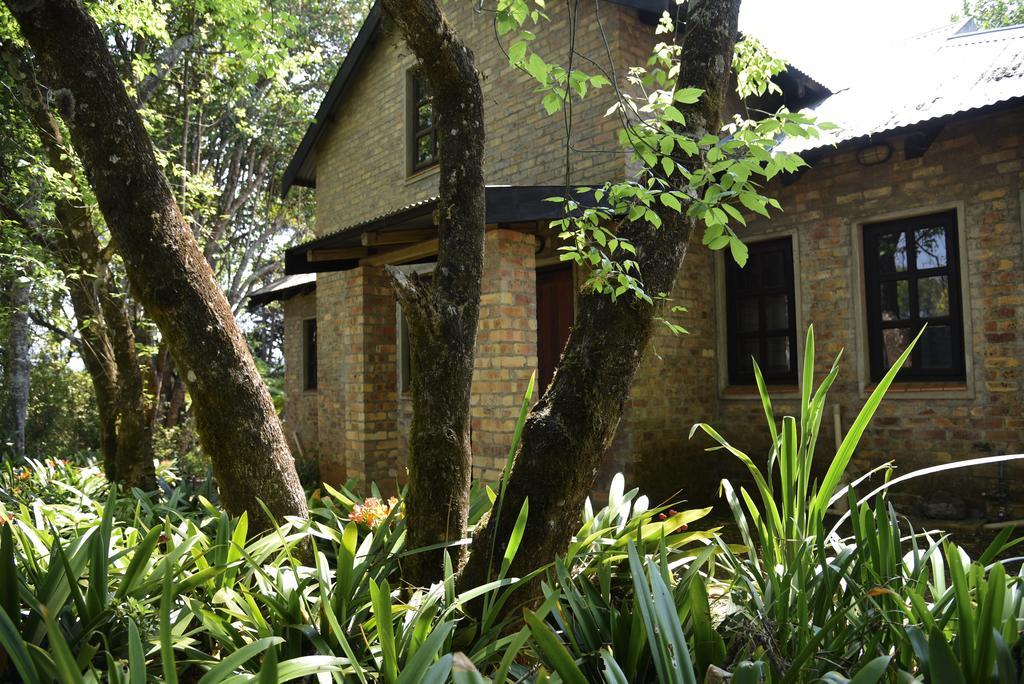 Molly'S Cottage Graskop Dış mekan fotoğraf